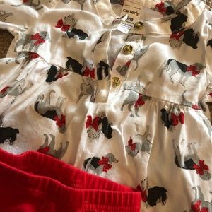 Girls Carter’s outfit